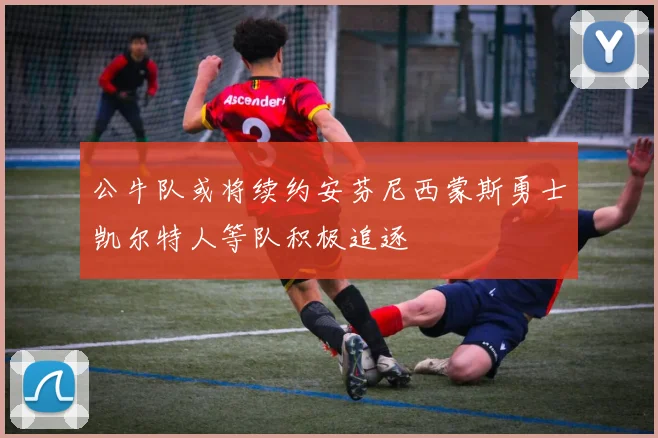 公牛队或将续约安芬尼西蒙斯勇士凯尔特人等队积极追逐
