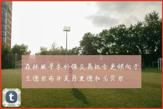 森林狼寻求补强交易机会更倾向于兰德尔而非麦丹里德和戈贝尔